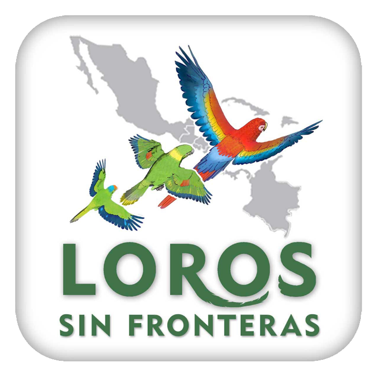 Loros sin fronteras